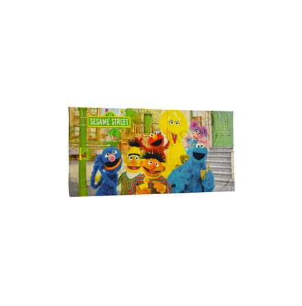 Sesame Street Towel